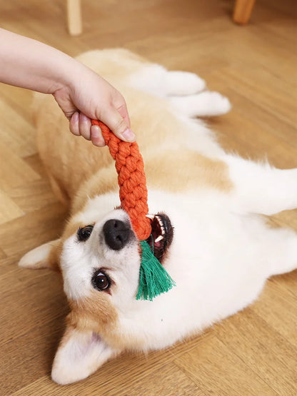 The Carrot Crunch Toy – Rope Dental Dog Toy | Dear Tammy