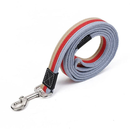 The Stripe Walk Leash – Canvas Dog Lead | Dear Tammy