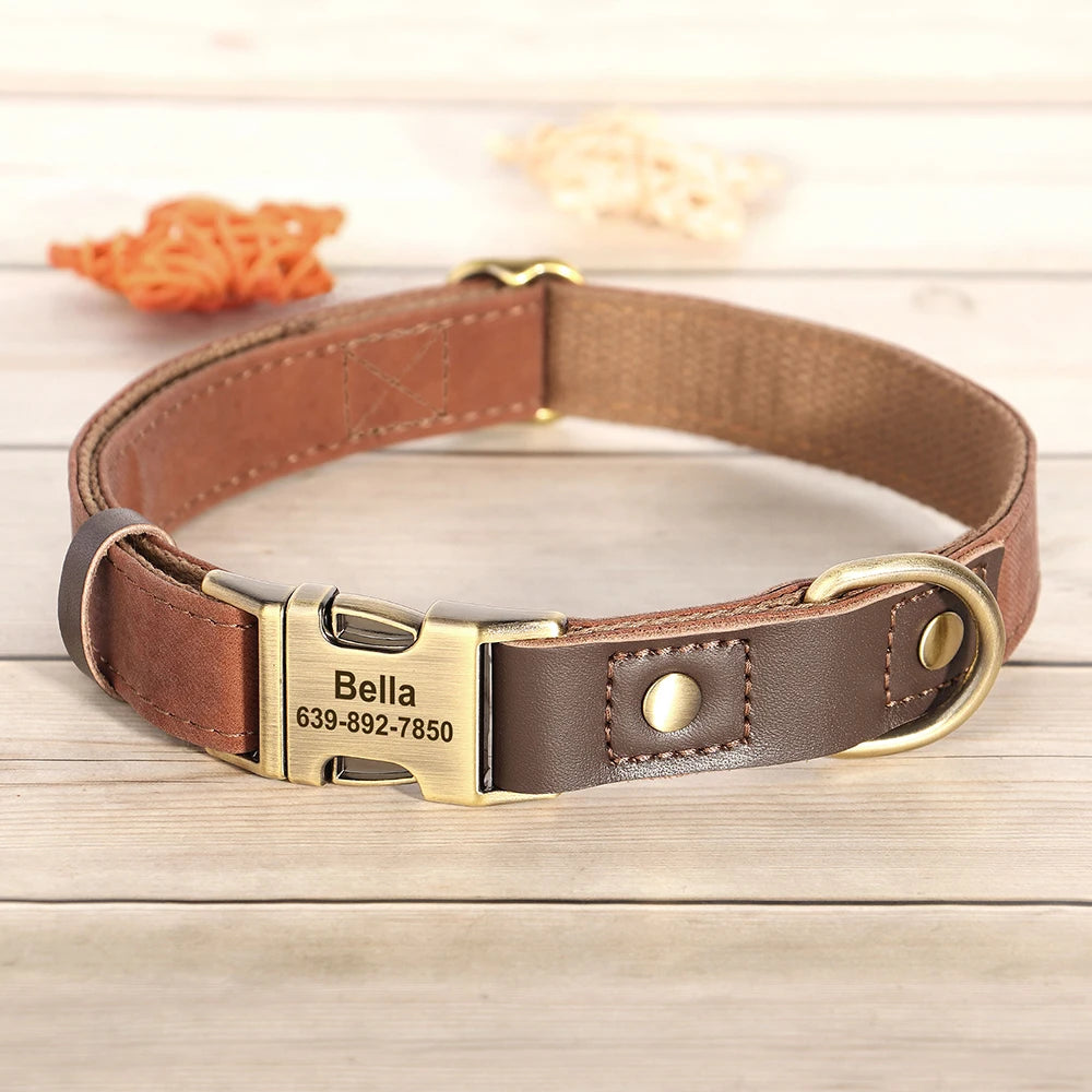The Signature Collar – Personalised Leather Dog Collar