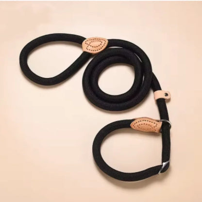 The Walk Rope Leash – Adjustable Braided Dog Lead
