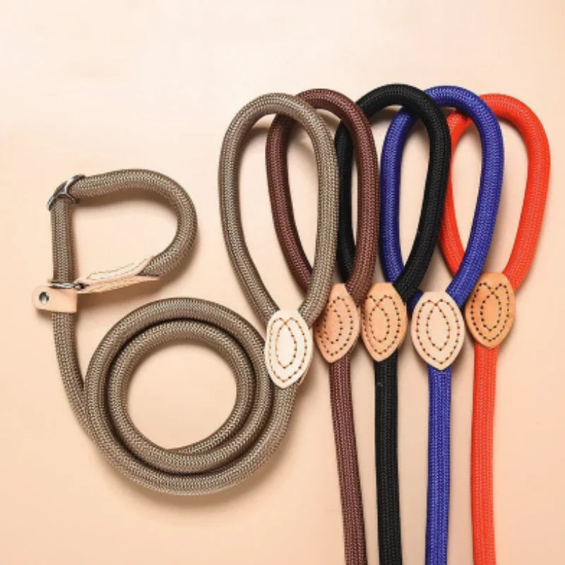 The Walk Rope Leash – Adjustable Braided Dog Lead