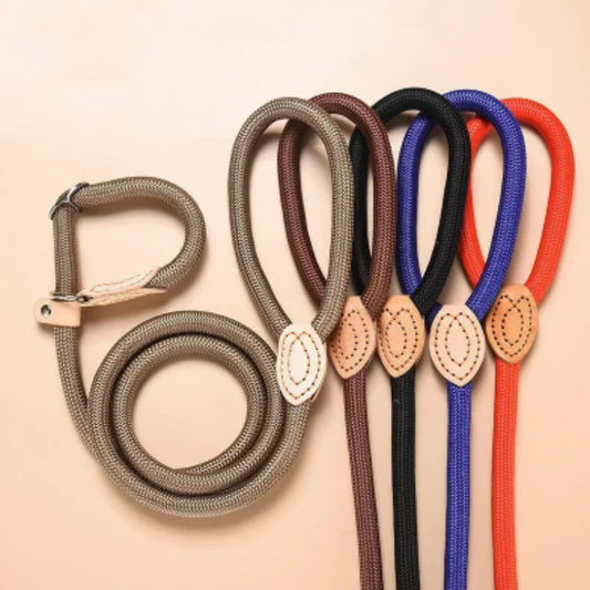 The Walk Rope Leash – Adjustable Braided Dog Lead