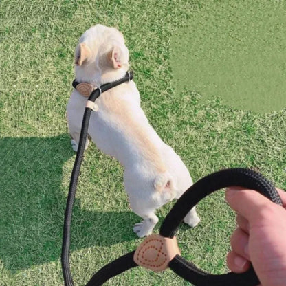 The Walk Rope Leash – Adjustable Braided Dog Lead