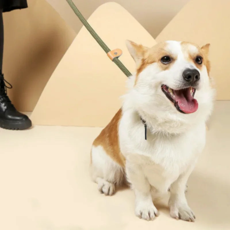 The Walk Rope Leash – Adjustable Braided Dog Lead
