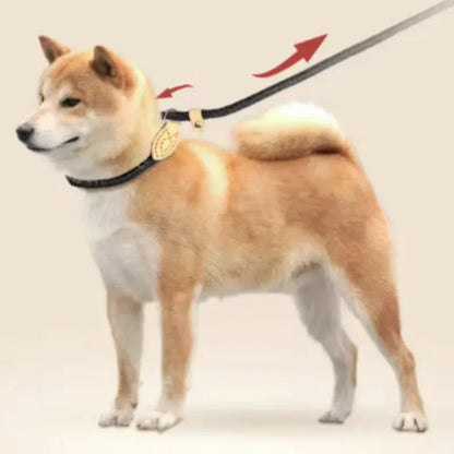 The Walk Rope Leash – Adjustable Braided Dog Lead