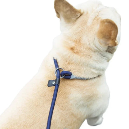 The Walk Rope Leash – Adjustable Braided Dog Lead