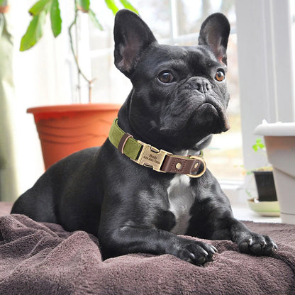The Signature Collar – Personalised Leather Dog Collar