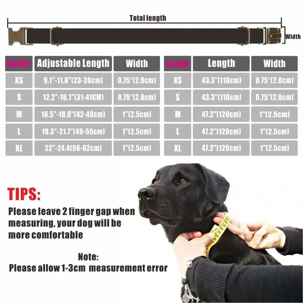 Gingham Personalised Dog Collar with Custom Name Tag | Dear Tammy™